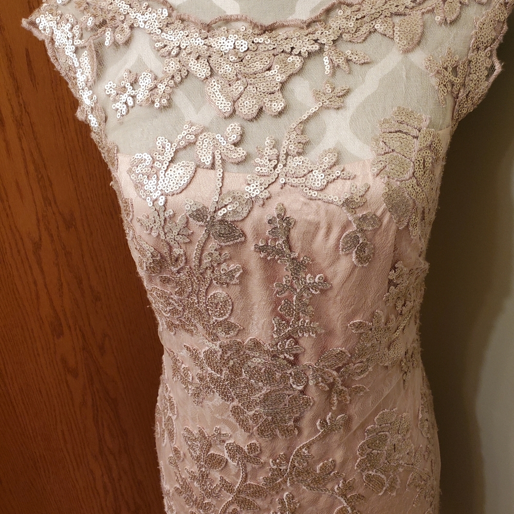 Eliza J Elegant Lace Dress size 4 New With Tags - Picture 9 of 14